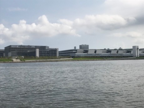 お騒がせの豊洲新市場の前も通過