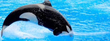 鴨川紀行・シーワルドでテールバースト！と倉敷産『桃太郎JEANS』