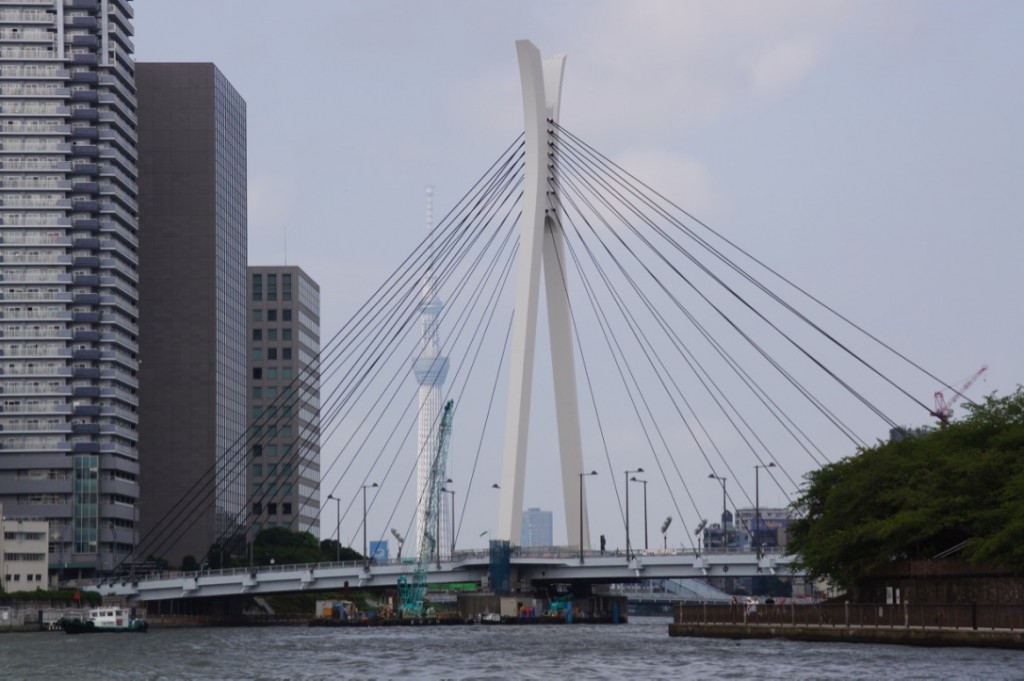 中央大橋は、フランスのデザイン会社に設計を依頼しており、主塔および欄干部分に日本の「兜」を意識した特徴的な意匠が施されている。
